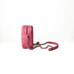 Chanel 2019 Pink CC Calfskin Clock Camera Case Crossbody Bag - Image 3