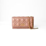 Christian Dior Caro Pouch with Chain – Rose des Vents Calfskin