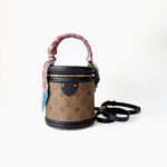Louis Vuitton Cannes Bag – Monogram & Monogram Reverse Coated Canva