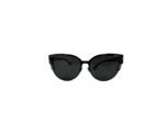 Dior Blue/Brown P7NE5 Wildly Dior Sunglasses
