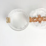 Louis Vuitton Monogram Plexiglass Box Scott with Gold-Tone Hardware - Image 8